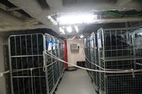 
DSC00074